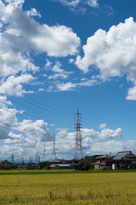 d0353489_201314100.jpg