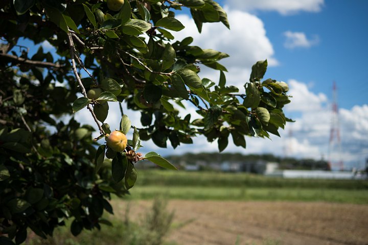d0353489_20135032.jpg