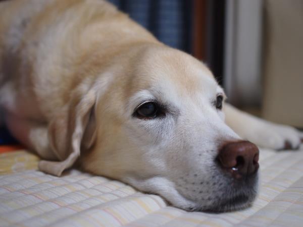 台風10号 & 良く眠れる日♡_c0028792_2229941.jpg