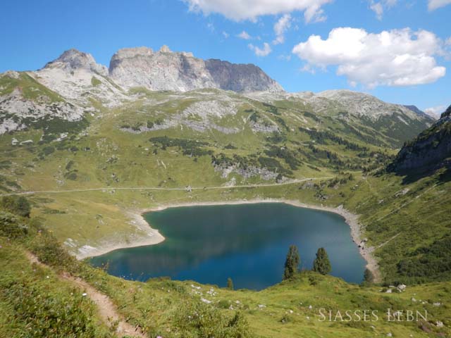 e0088895_55411.jpg