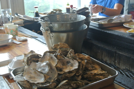c0242406_16172223.jpg