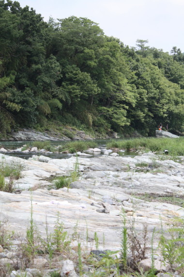 b0129008_11204366.jpg