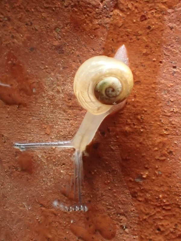 e0276411_23204310.jpg