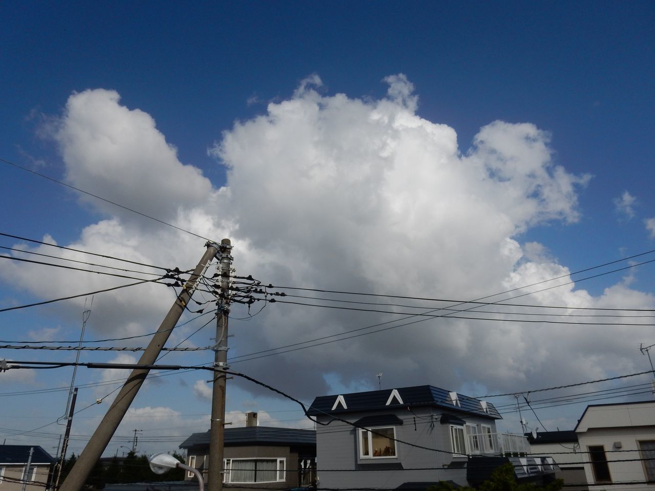 台風一過というほどすっきりしない一日_c0025115_20435452.jpg