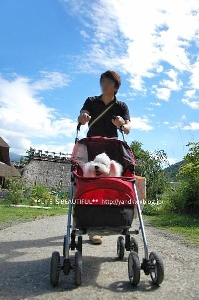 夏休み旅行@河口湖*2016④_d0083623_1125480.jpg