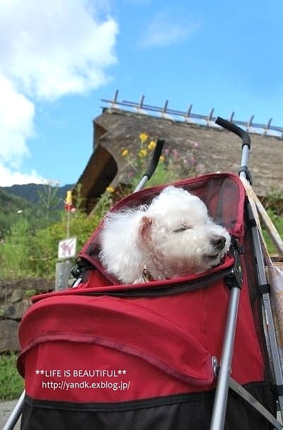 夏休み旅行@河口湖*2016④_d0083623_1127594.jpg