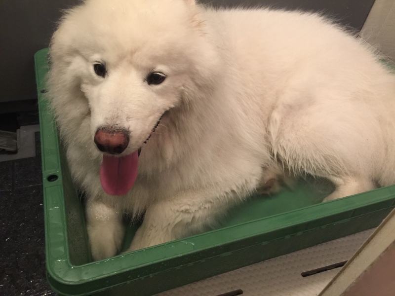 f0234023_06445205.jpeg