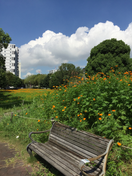 b0238426_07244669.jpg