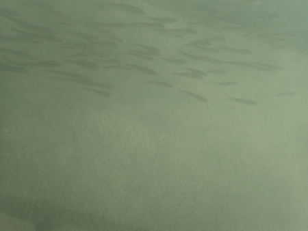 b0193238_2152593.jpg