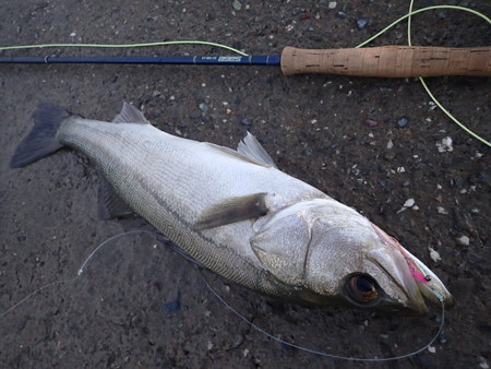 b0193238_2262576.jpg
