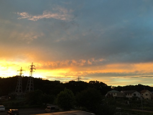 b0330040_13193812.jpeg
