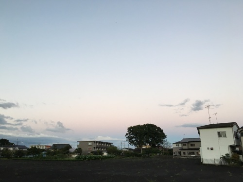 b0330040_13201935.jpeg