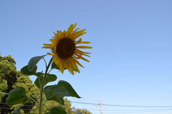 c0202242_97121.jpg