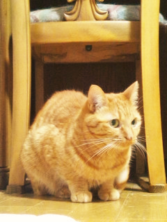 e0080346_17573998.png
