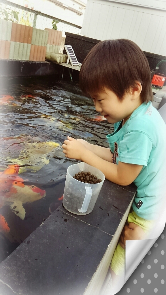 鯉にエサやり_c0357454_21582006.jpg