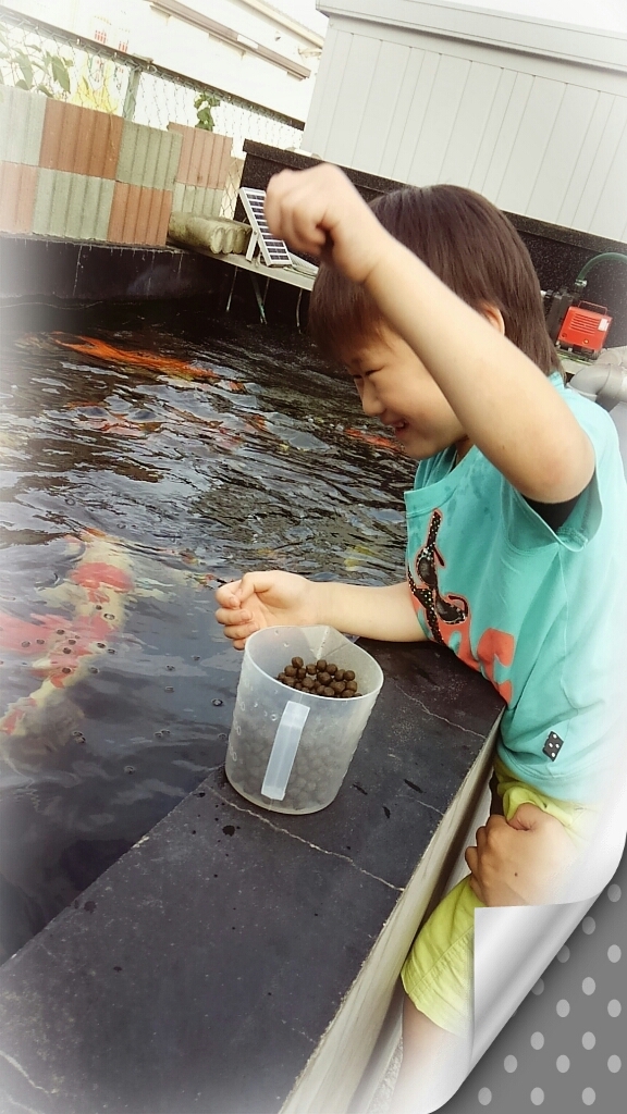 鯉にエサやり_c0357454_21582095.jpg