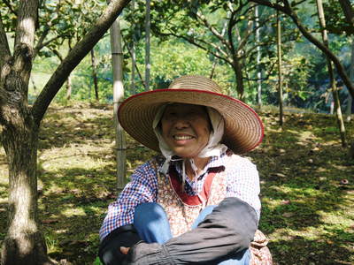 太秋柿 古川果樹園 今年も順調に成長中!でも思わぬことが!8月に雹が降ったんです!(後編)_a0254656_1918525.jpg