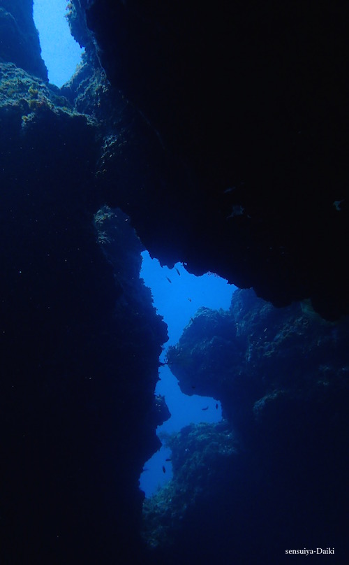 e0158261_8152751.jpg