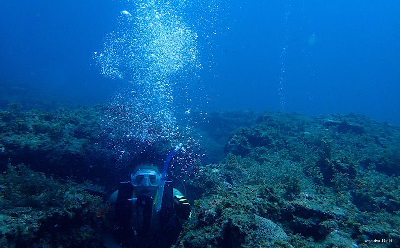 e0158261_8153431.jpg