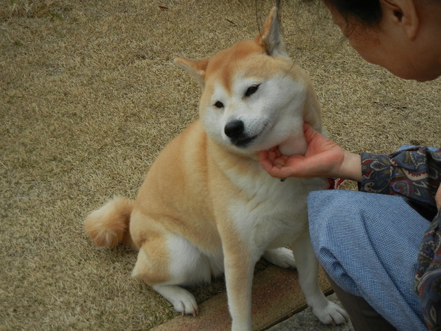 ’16,8,31(水)Hさんと翠海と愛ちゃん!_f0060461_13195776.jpg