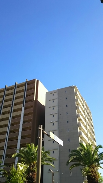 そろそろ手帳が欲しくない?_f0152875_08492581.jpg