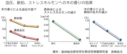 心身を癒す木のある暮らし_f0336275_09563824.gif