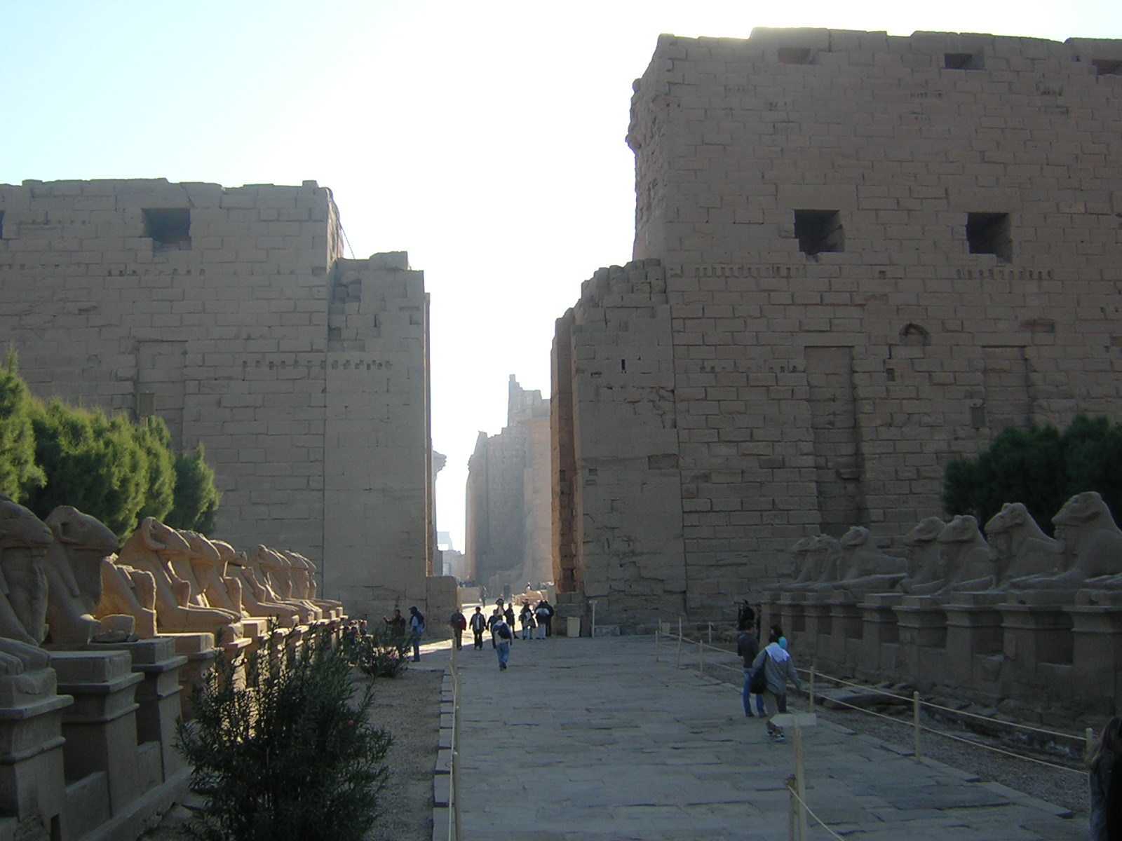 d0349176_21373948.jpg