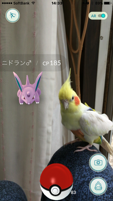 e0027078_15315077.png