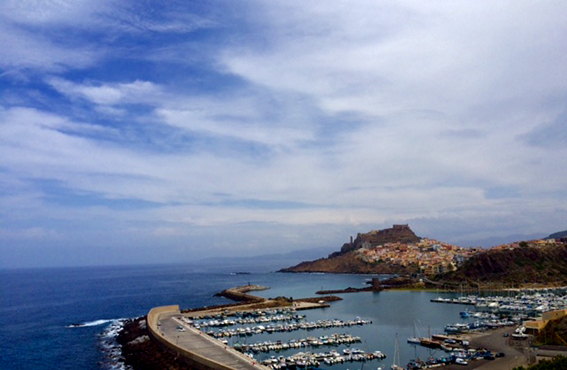 b0321680_20092021.jpeg