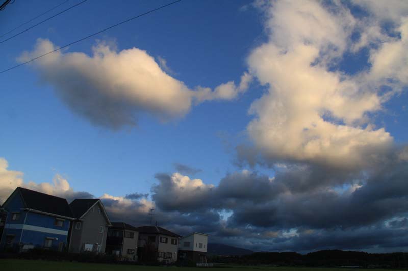 c0177785_612613.jpg