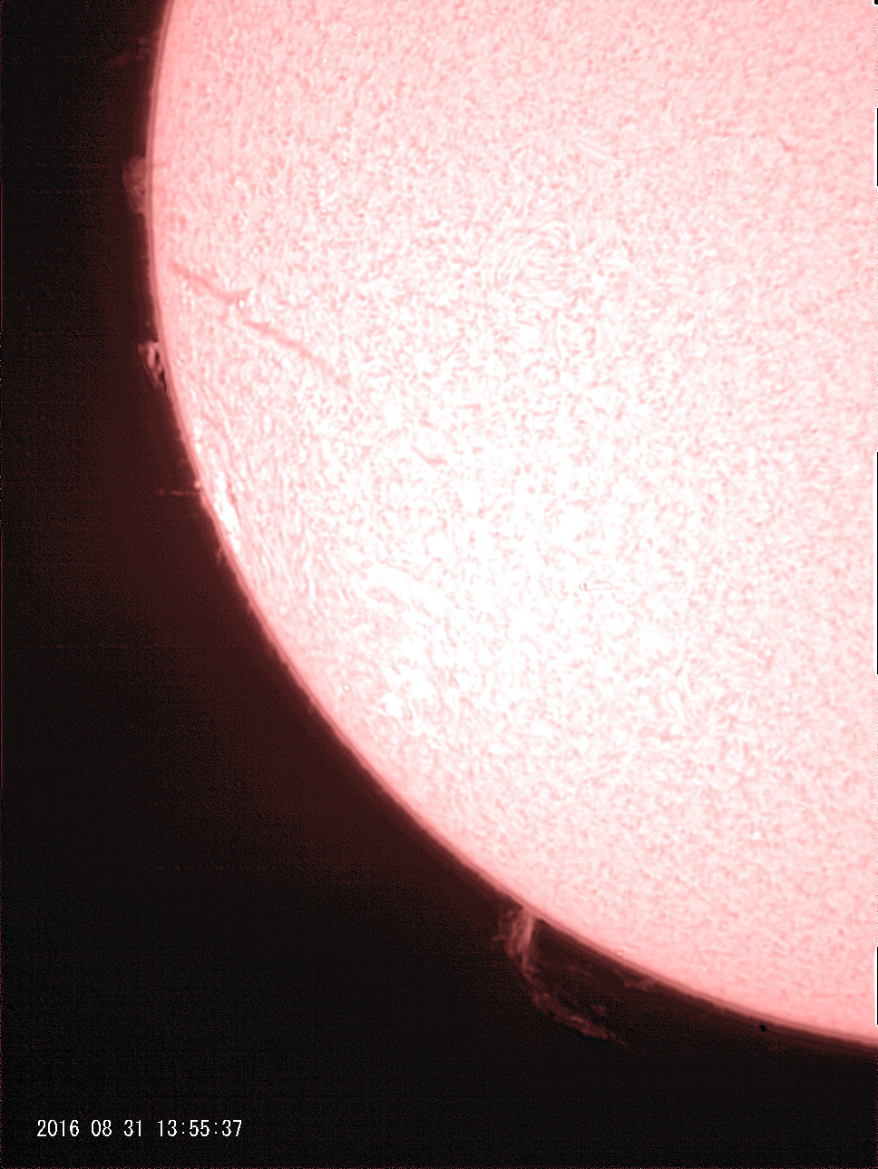 8月31日の太陽_e0174091_16110663.jpg