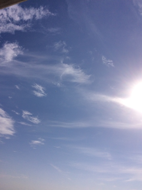 b0220002_22342855.jpeg