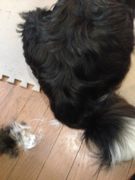 f0034602_10310155.jpeg