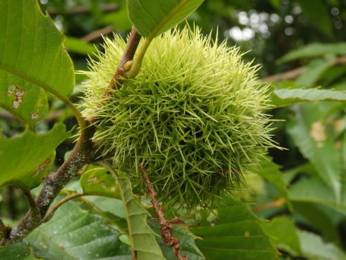 c0156104_21243382.jpg