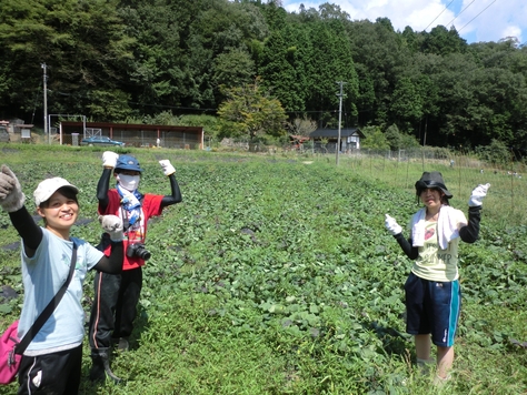 a0080406_1526580.jpg