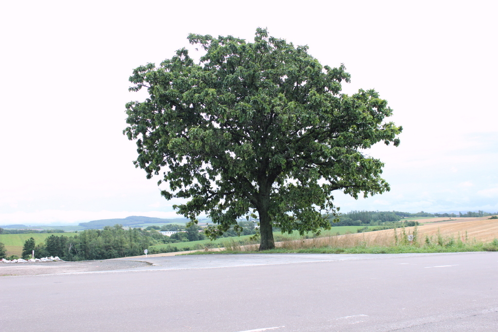f0224506_19244575.jpg