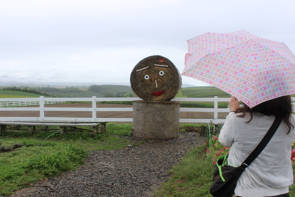 憧れの地　北海道！　美瑛編_f0224506_19253355.jpg