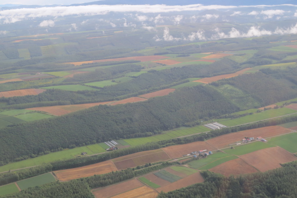 憧れの地　北海道！　美瑛編_f0224506_19261912.jpg