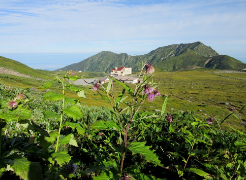 a0164011_2037237.jpg