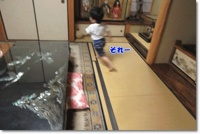 b0167519_15544419.gif