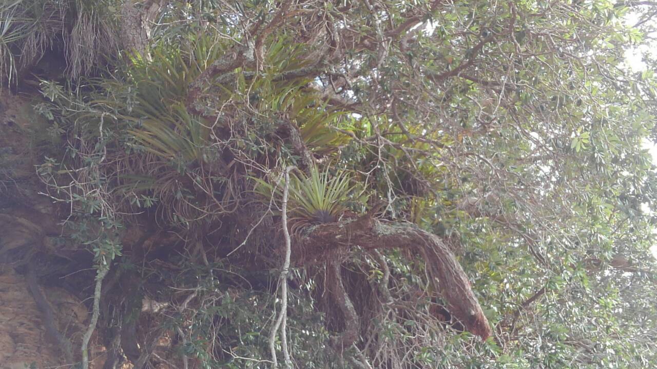 d0187020_22141677.jpg