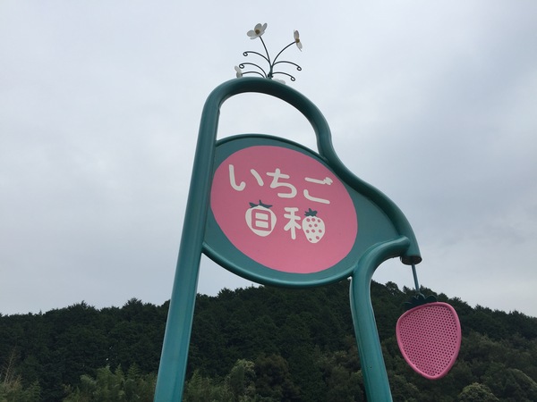 b0133822_1719251.jpg