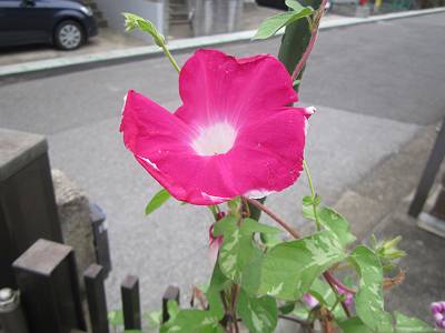 d0065324_17495636.jpg