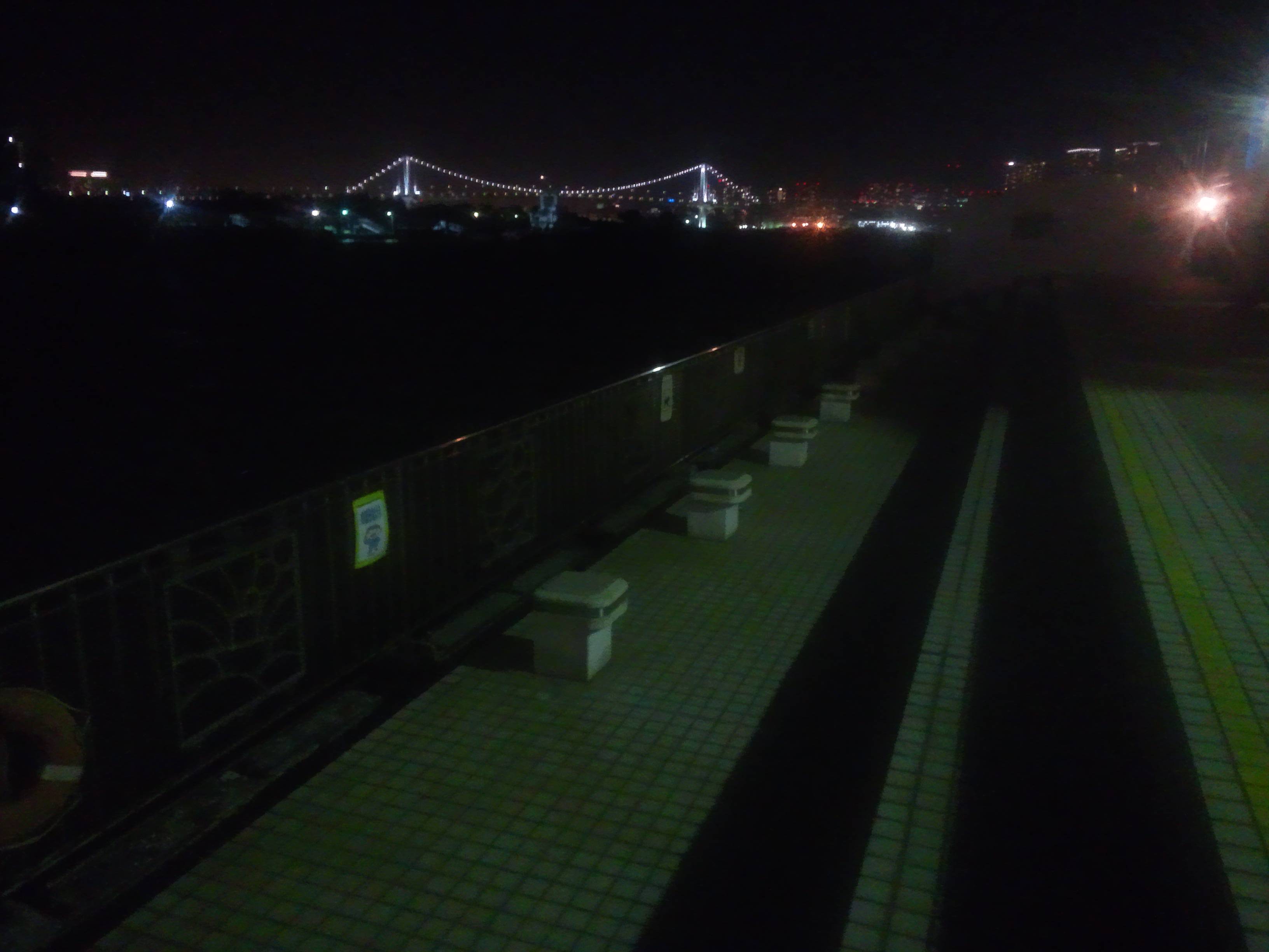 若洲海浜公園 Round4 夜釣り ポチたま