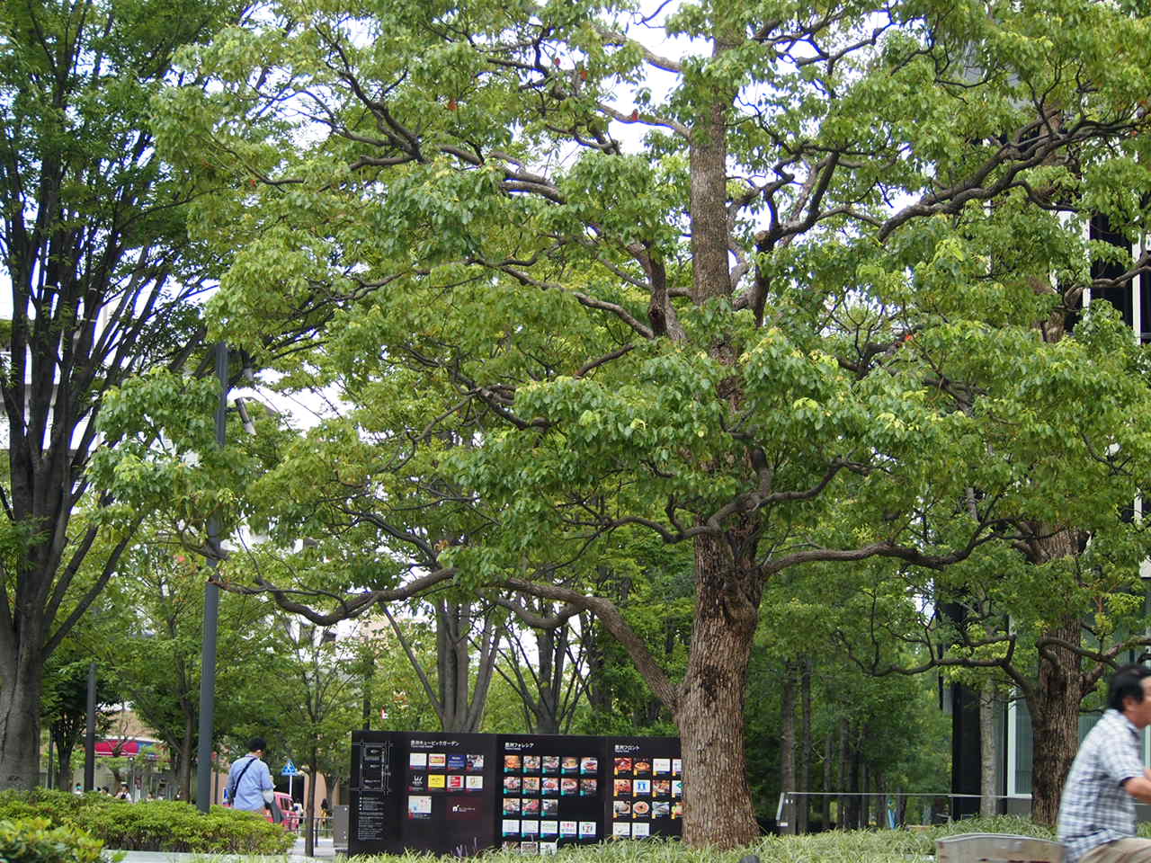 江東区の高層マンション収納工事を。。_a0214329_16441275.jpg