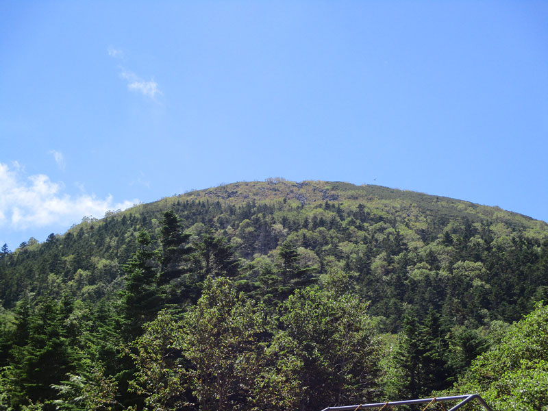 蓼科山　登りました。_d0000031_10253478.jpg