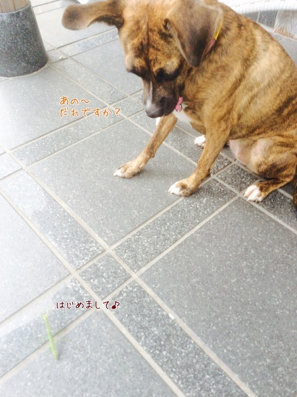 d0269832_07094861.jpeg