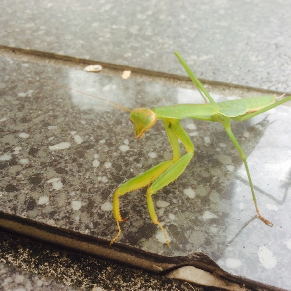 d0269832_07101245.jpeg