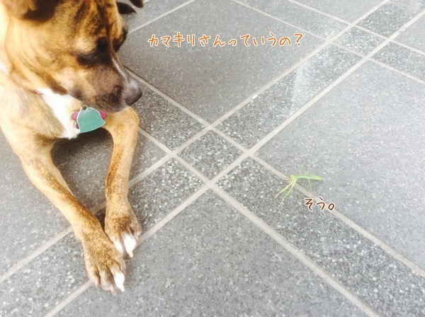 d0269832_07102901.jpeg