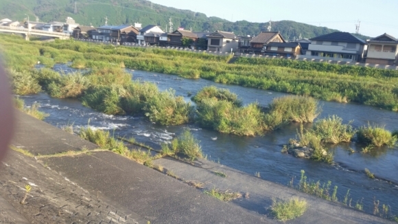 c0266737_07071648.jpg